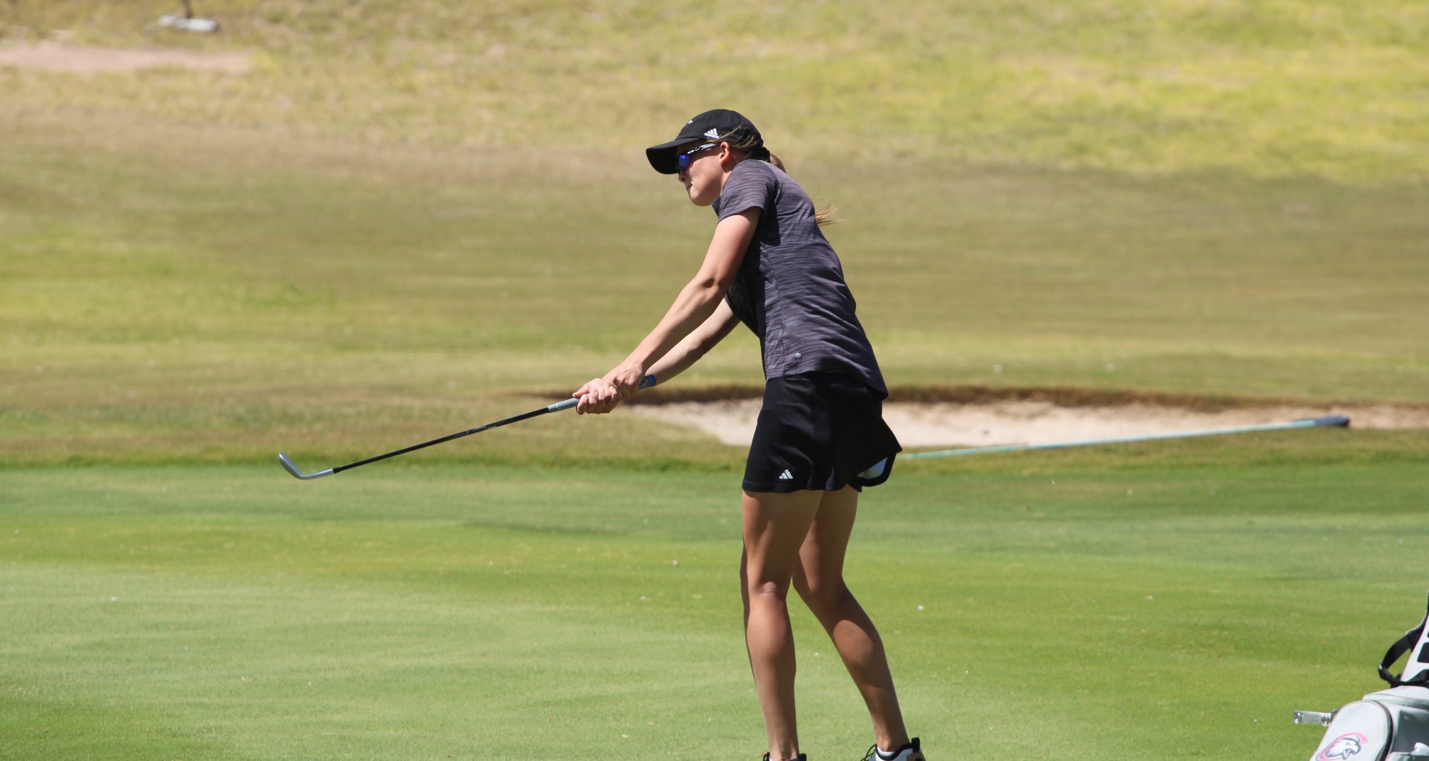 Allison-sanger-rmacs