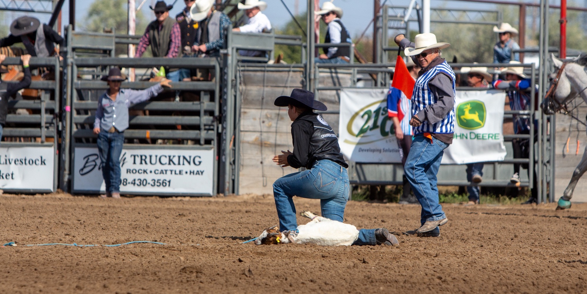 Mary-gibson-goat-tying