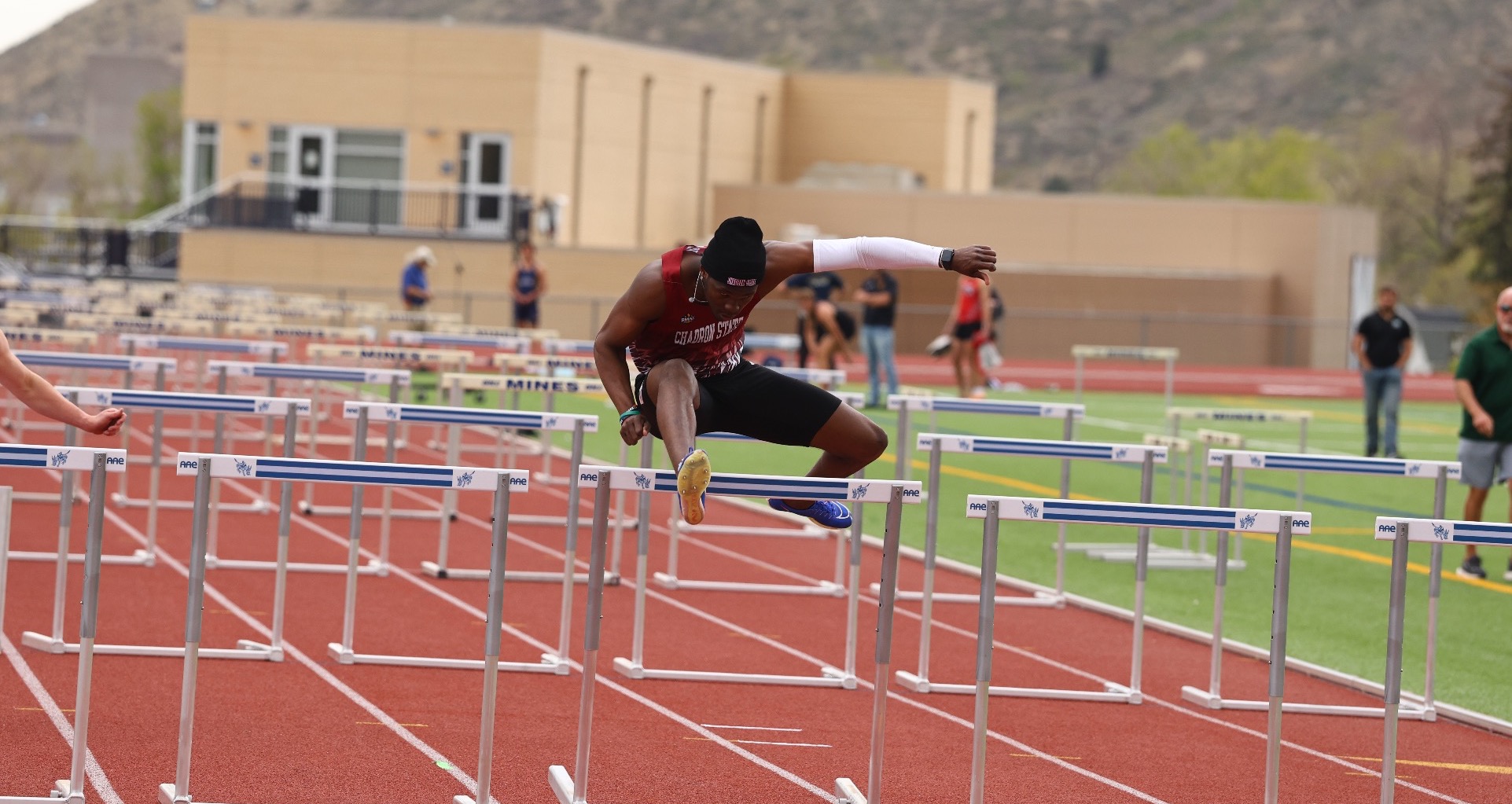 courtney-williams-mines