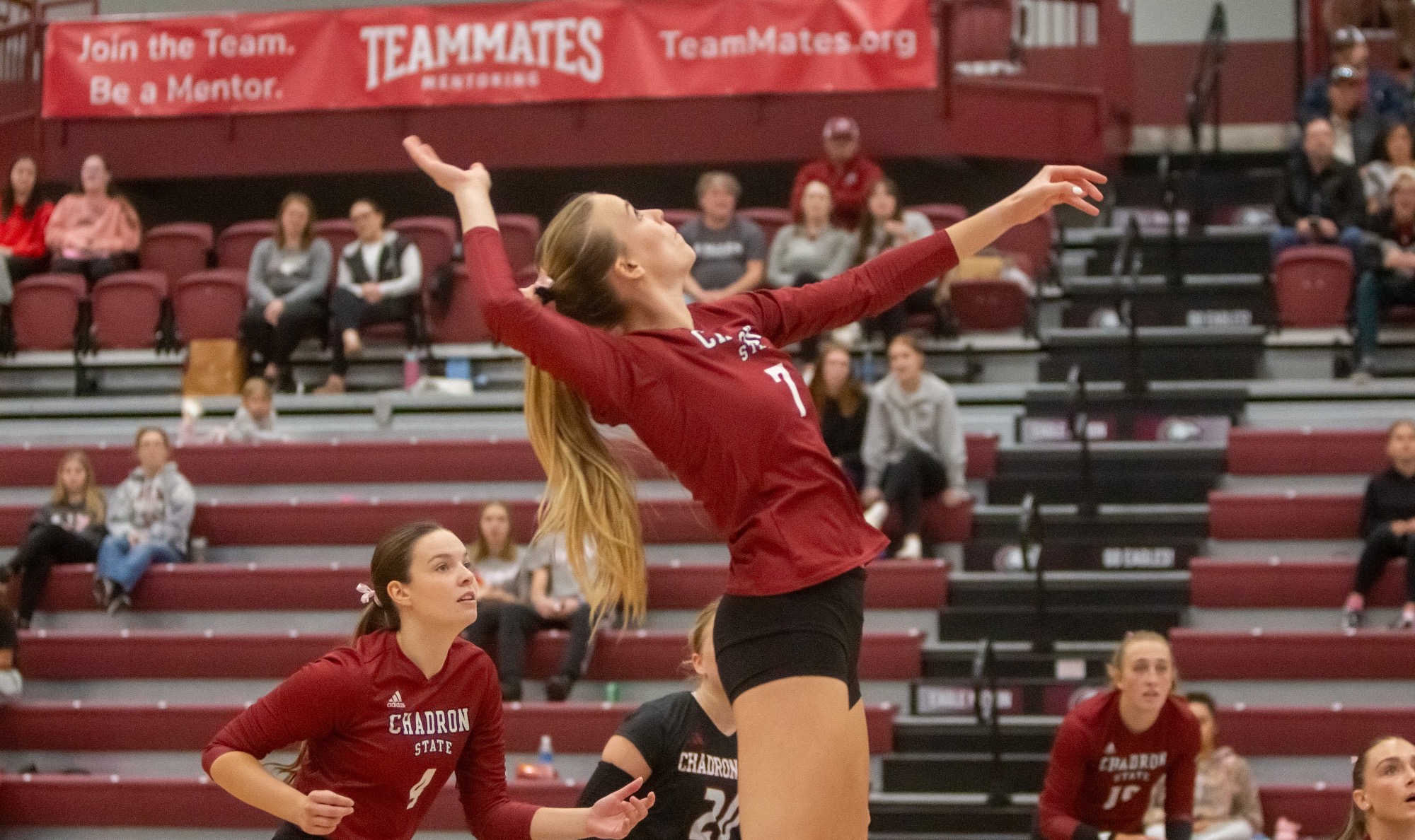 Kally Kirkwood raising her arm to spike the volleyball
