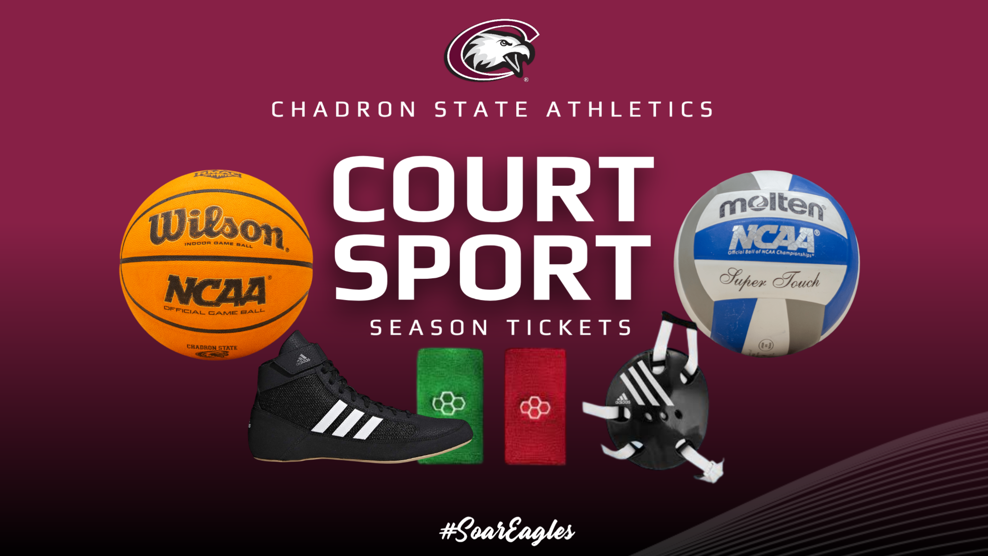 Court Sport Season Ticket Pass - basketball, volleyball and wrestling gear around the words 