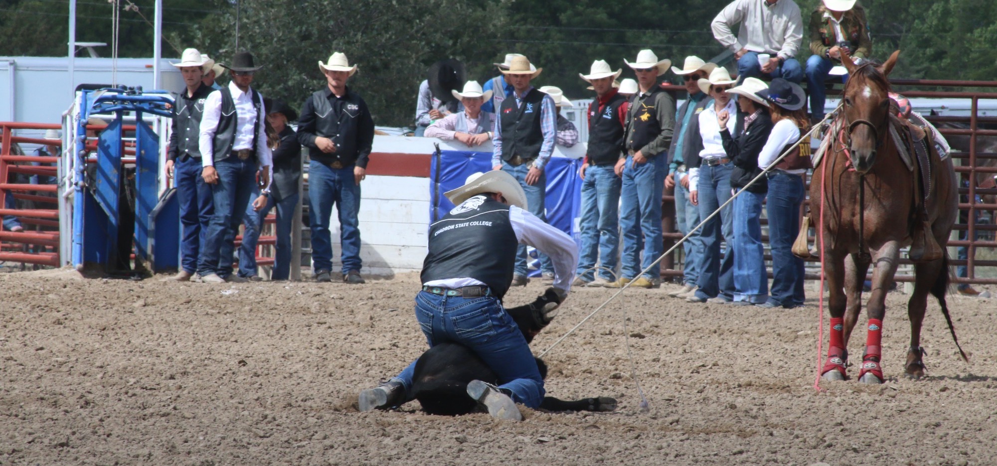Sid Miller tying at CSC rodeo