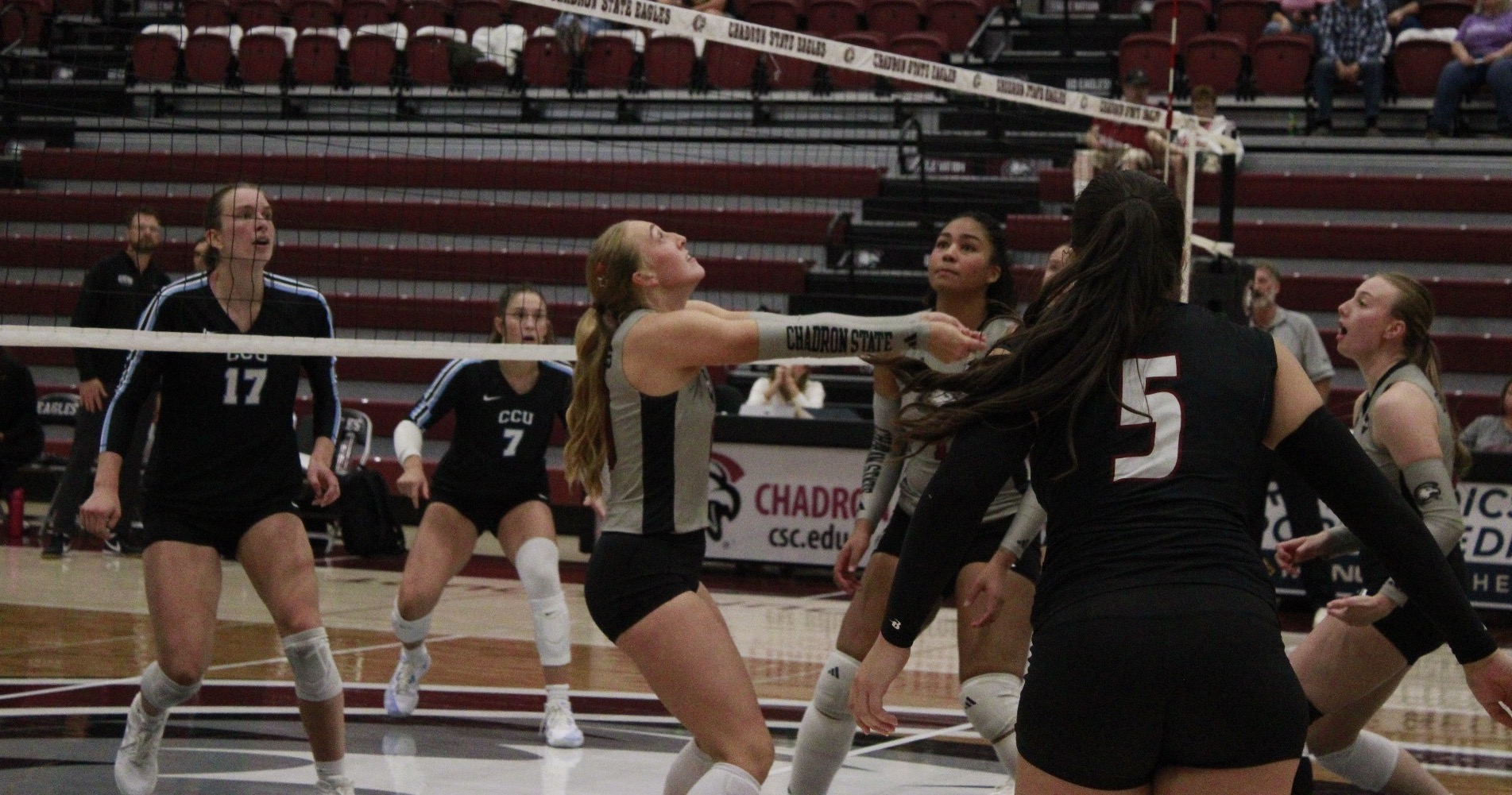 Mataya Ward prepares to dig vs. CCU