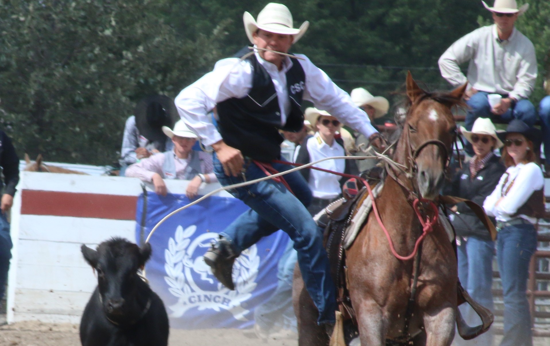 Sid Miller dismount @ Chadron Rodeo