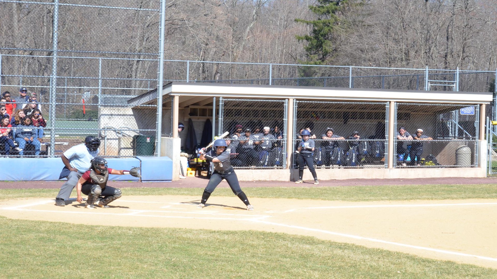 Brittany Demarest 2021 Softball Saint Elizabeth University Athletics