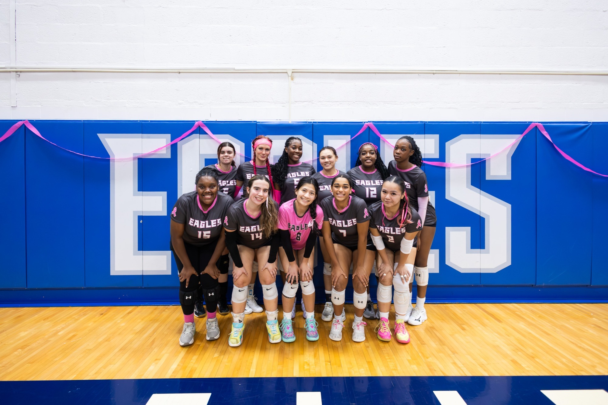 WVB Team