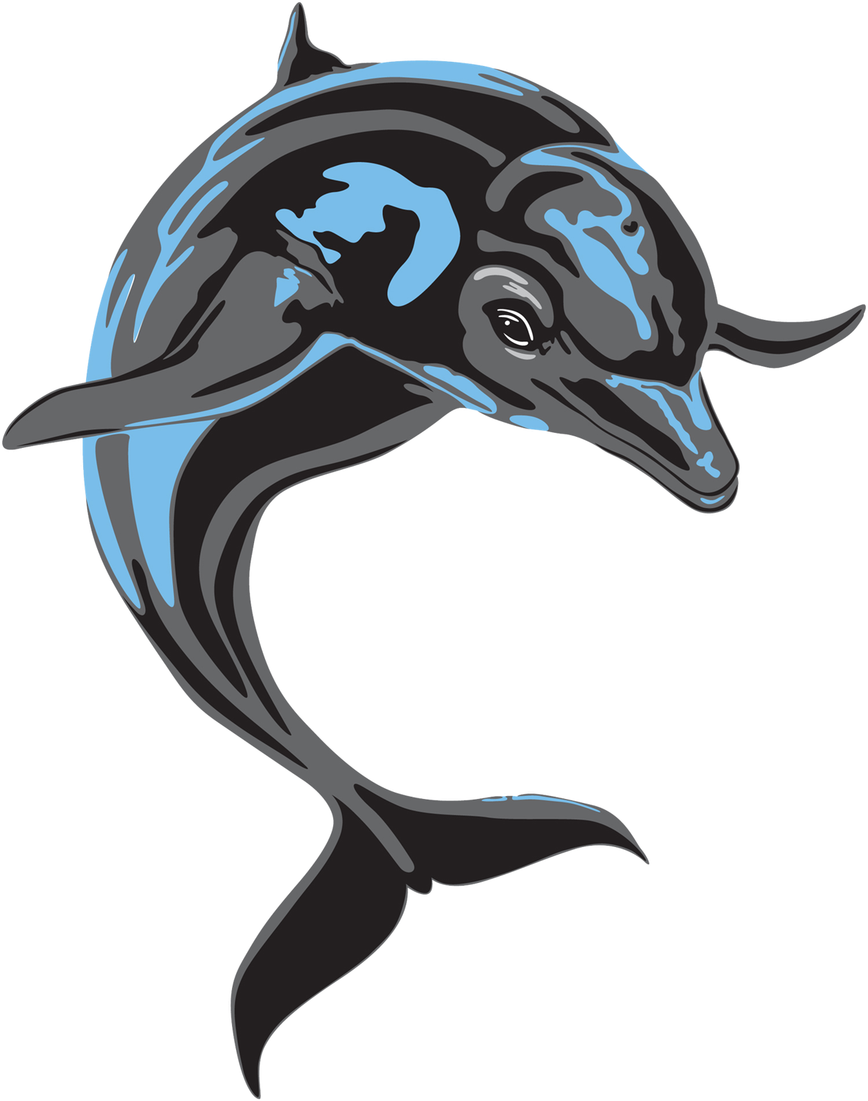 CSI Logo Just Dolphin PNG