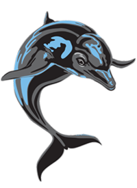 JustDolphinPNG