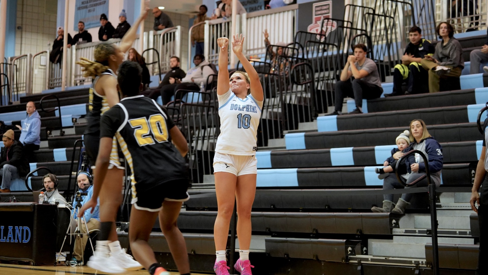 Dana Phelan vs. AIC (2025)