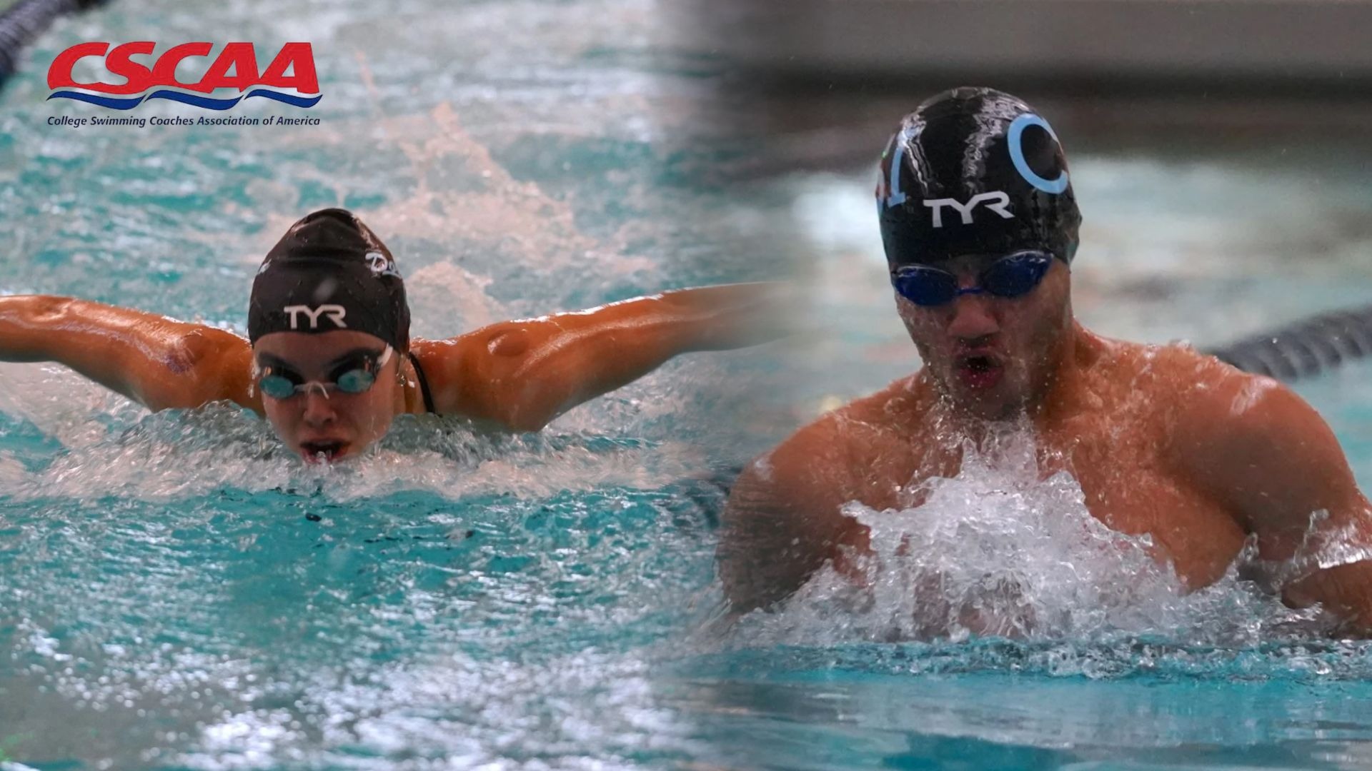 Swimming and Diving CSCAA Scholar All-America Team Release