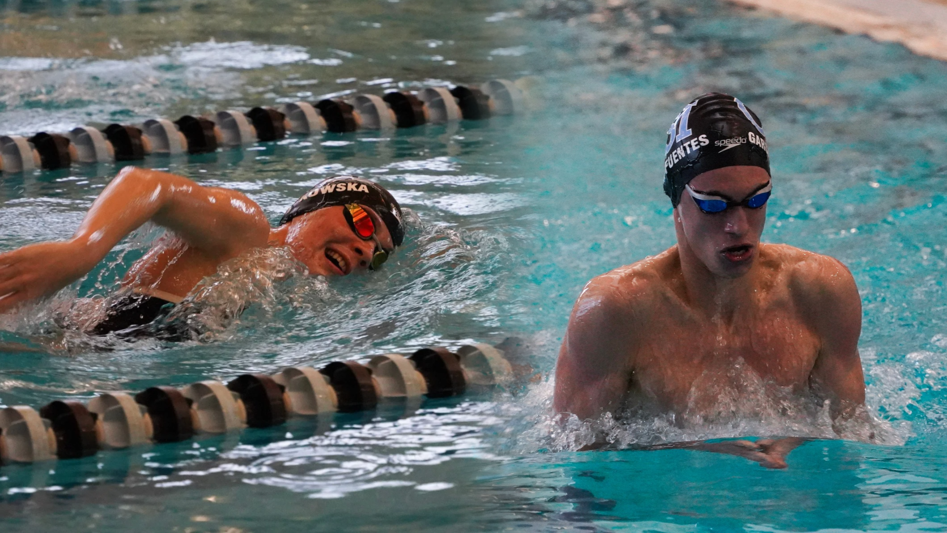 Swim vs. Felician and Adelphi Recap Header (2026)