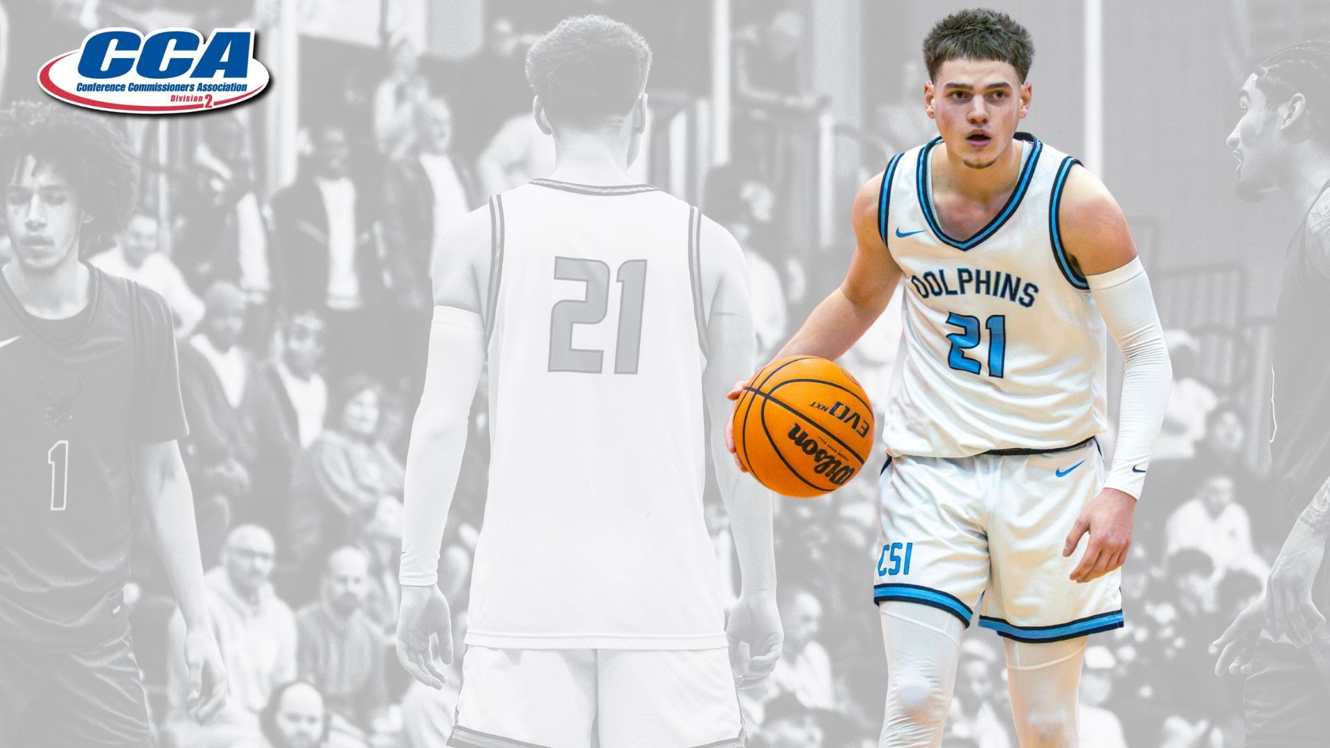 D2CCA Regional Release - Aaron Goldstein (2025-26)