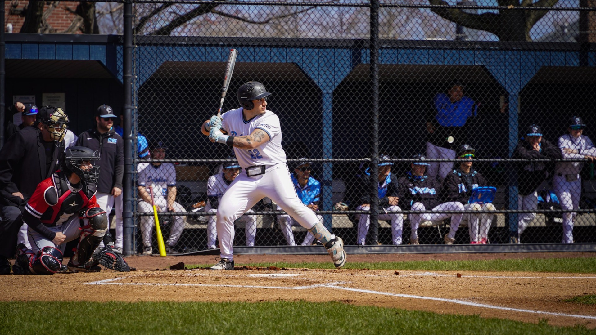 Jason Romance vs. D'Youville (Mar. 2026)