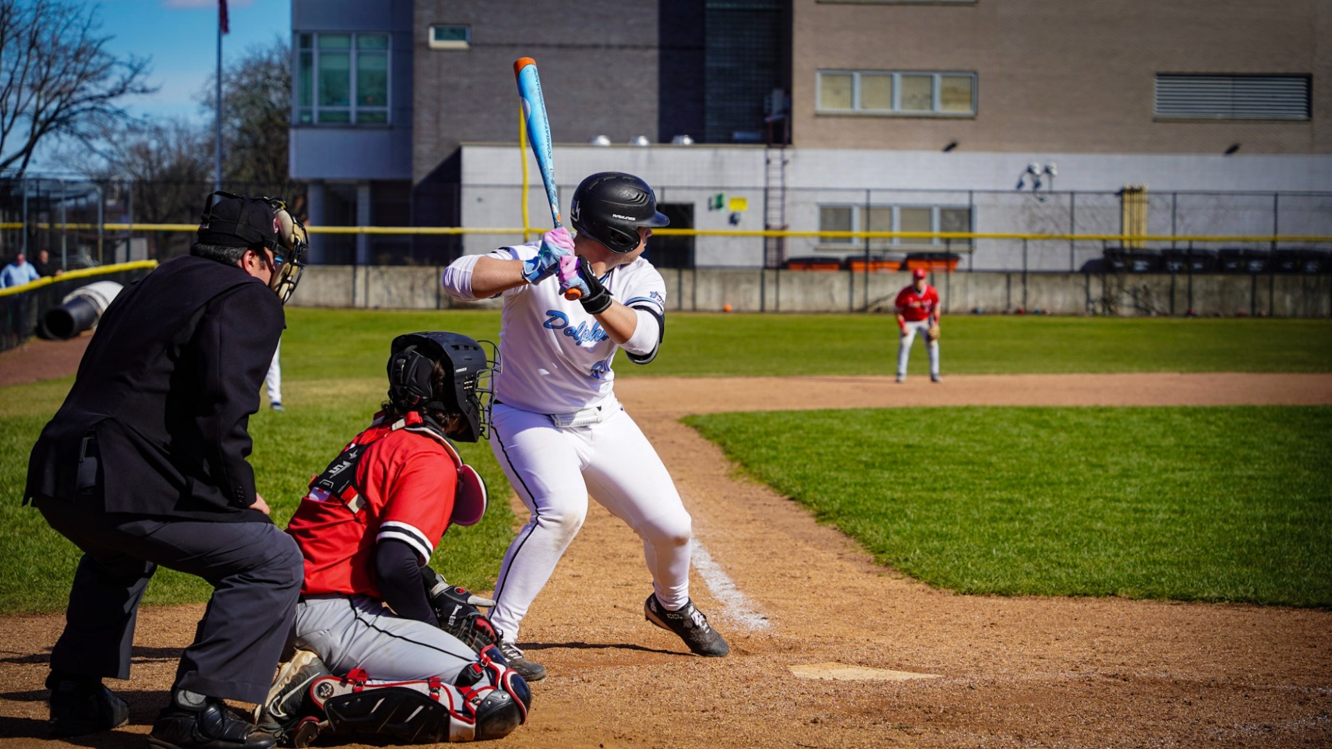 Patrick Hassel vs. D'Youville (2026)