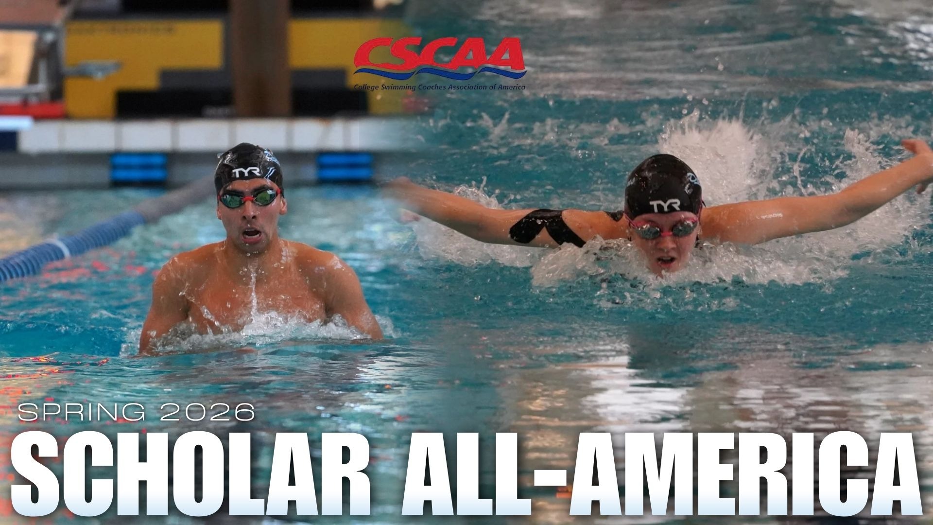 CSCAA Swim and Dive Scholar All-America (Spring 2026)