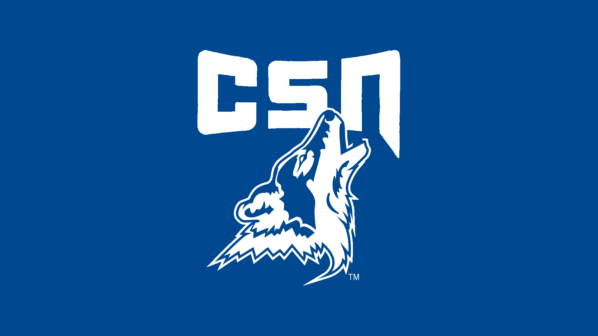 CSN Women’s Basketball downed by No. 14 SLCC College of Southern
