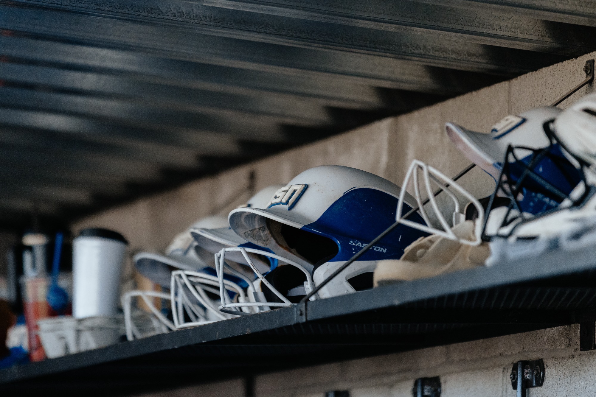 Softball Region 1 Preview