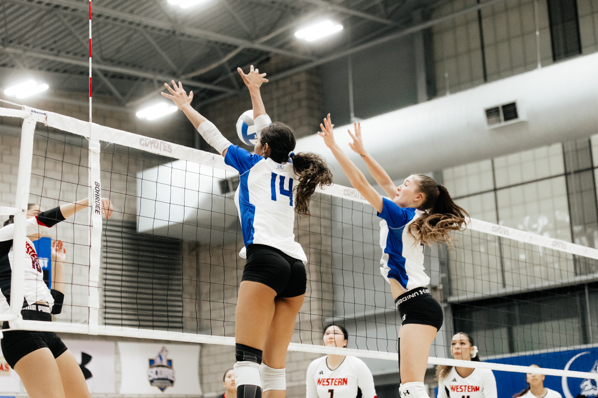 Arizona Western vs Southern Nevada VB
