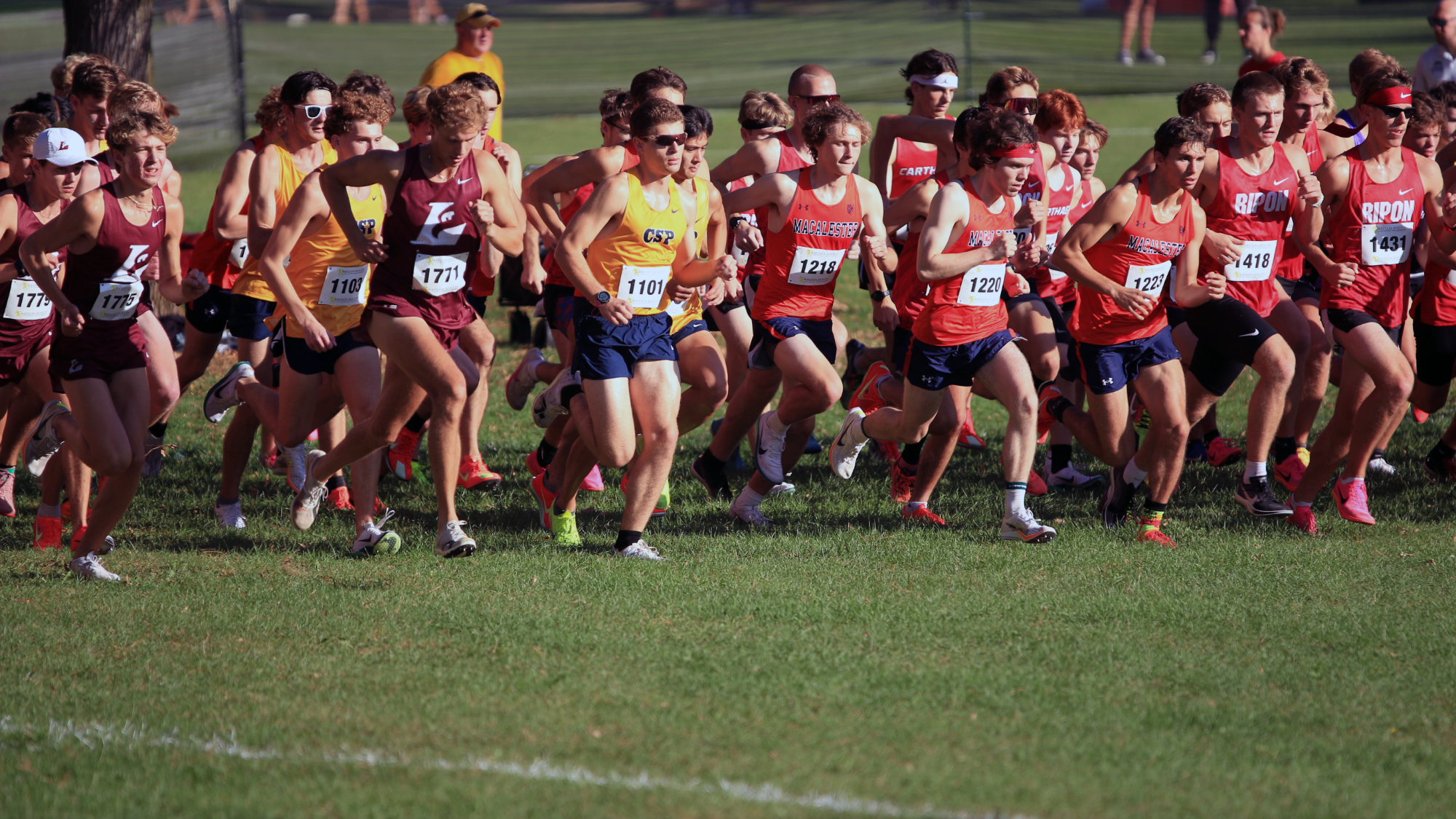 2025 cross country race start Blugold Invite