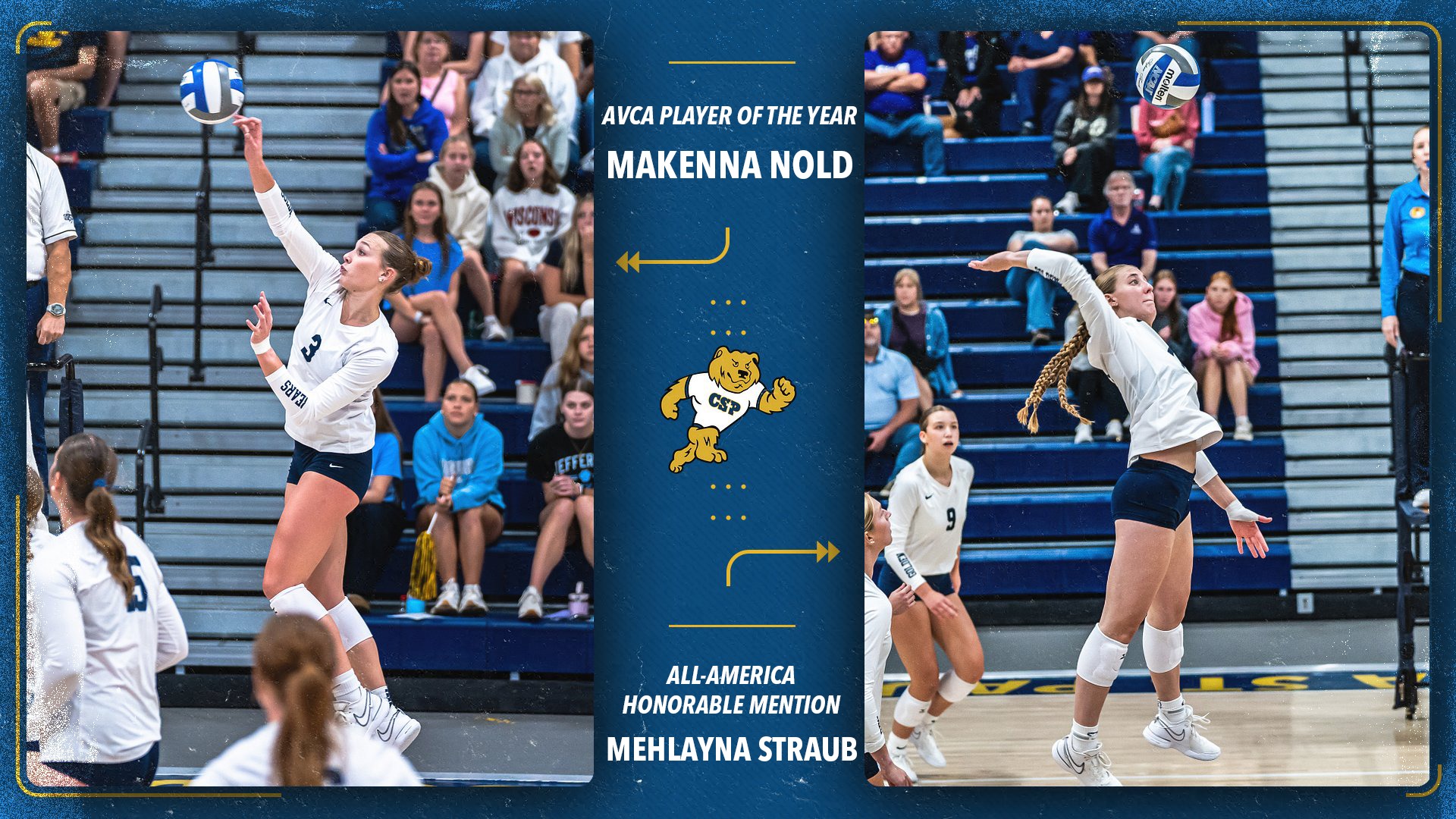 2025 VB AVCA All-America Graphic