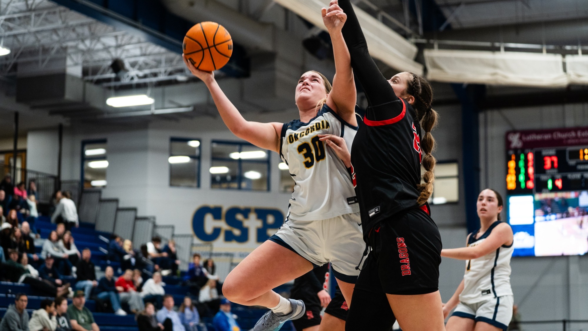 Women's basketball Lauren Wilson 01-09-2026 v. MSUM