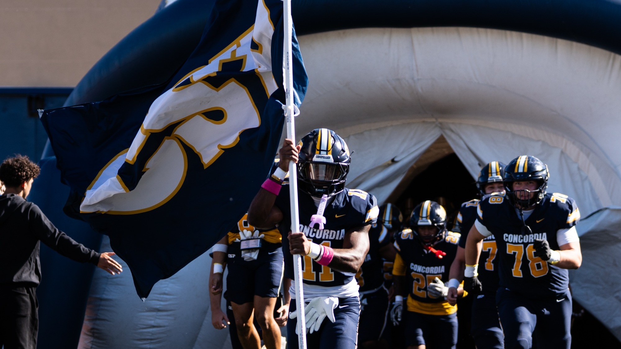 Kam Williams vs. Augustana