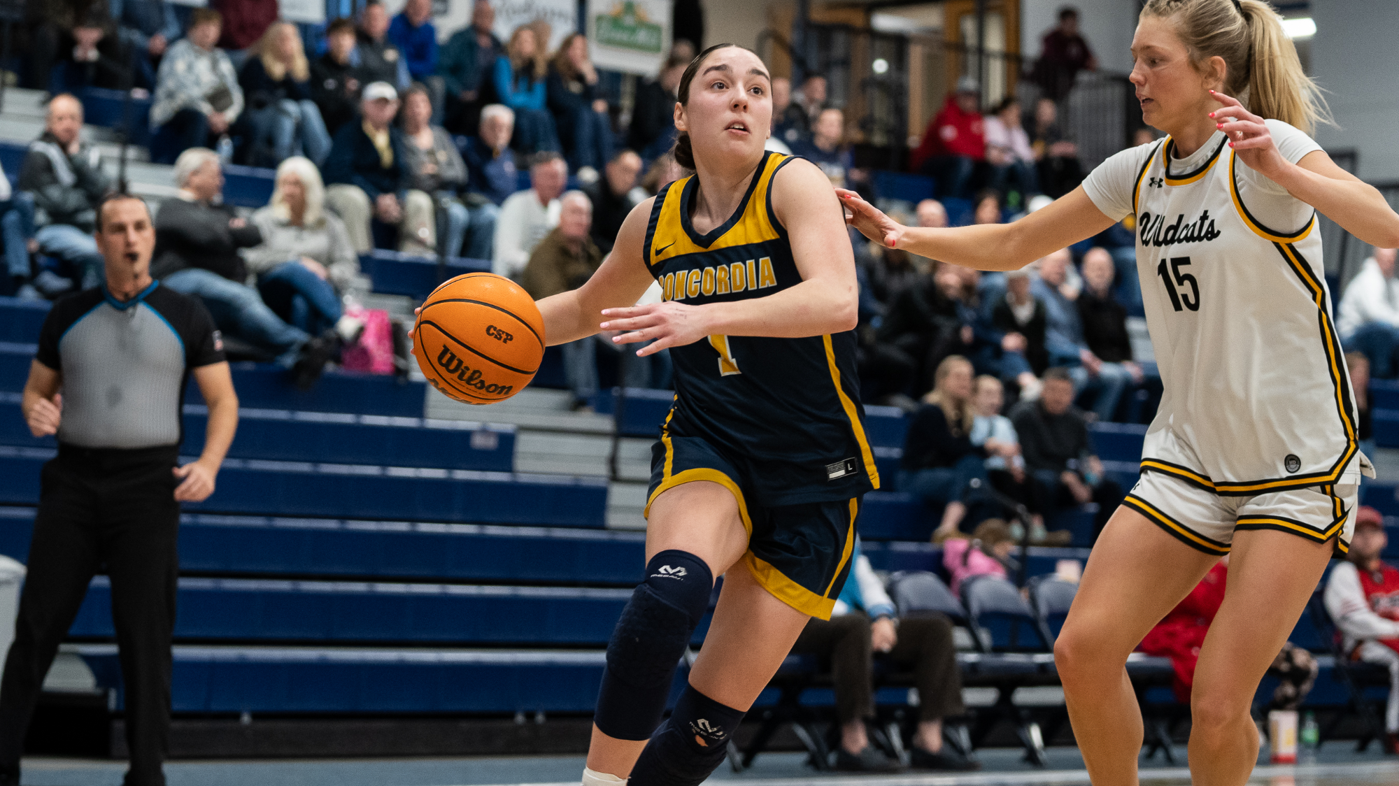 2025-26 women's basketball Leah Dengerud v. Wayne