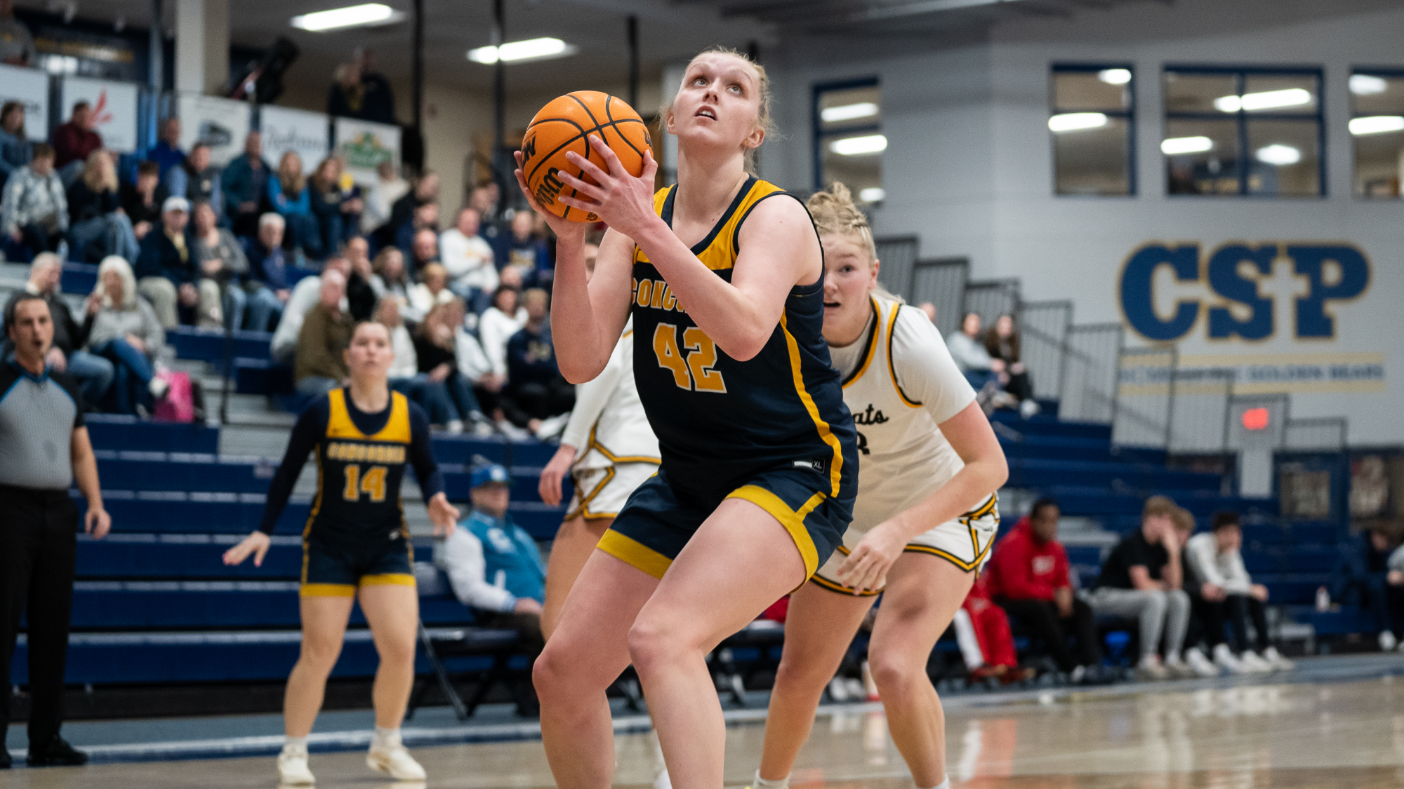 2025-26 women's basketball Emma Mommsen v. Wayne 