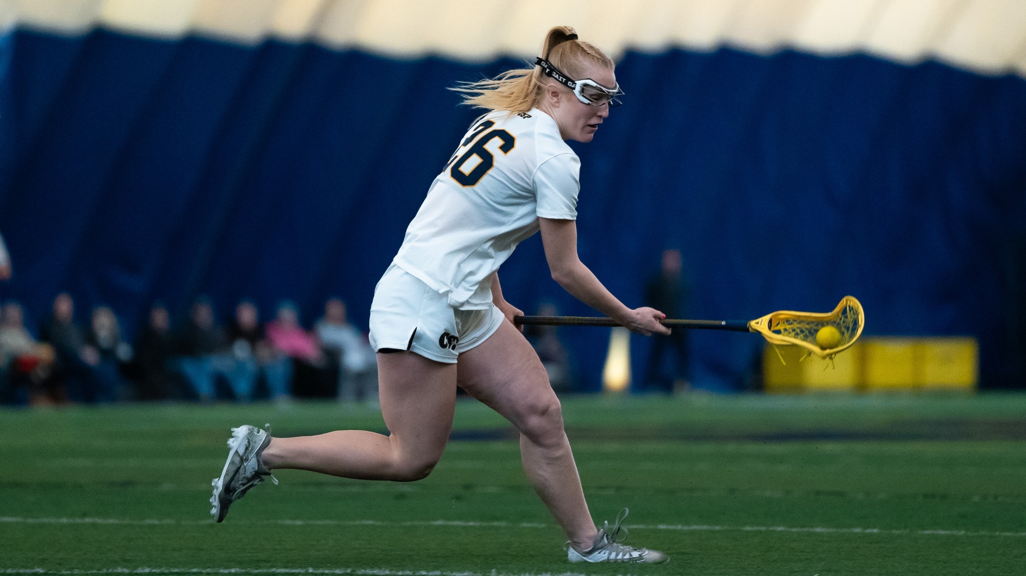 Shelby Marik vs Lewis 2026