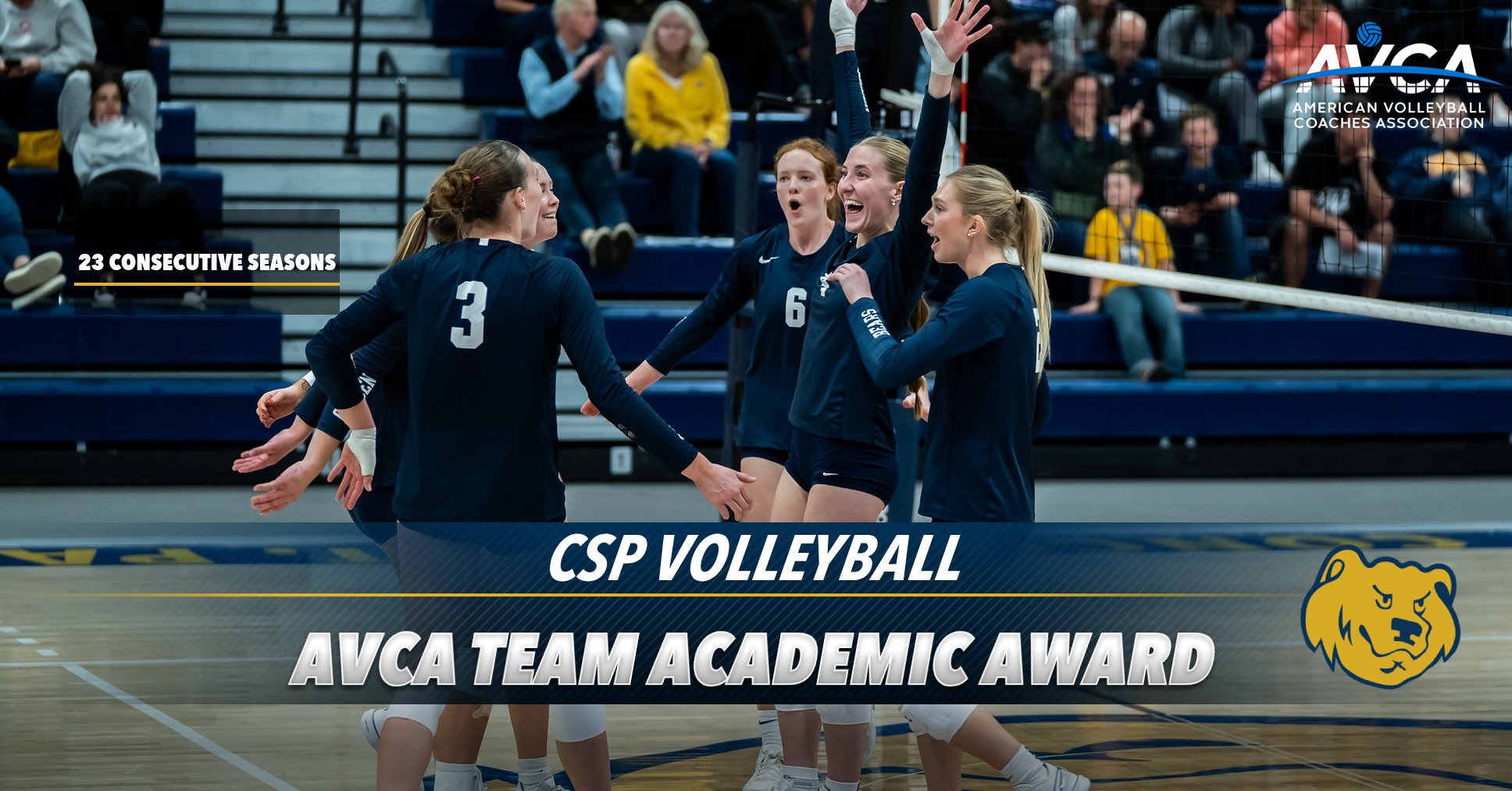 2026 AVCA Team Academic Award graphic