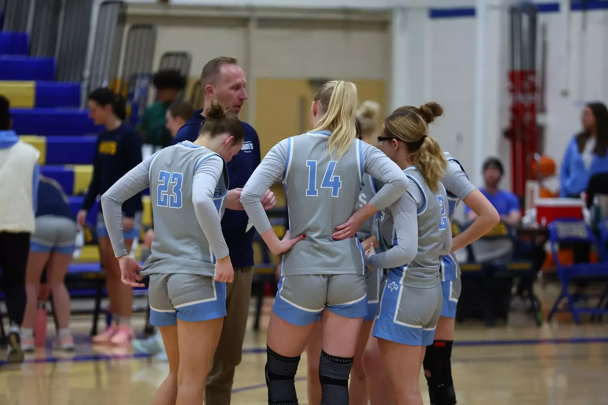 Women's Basketball team huddle