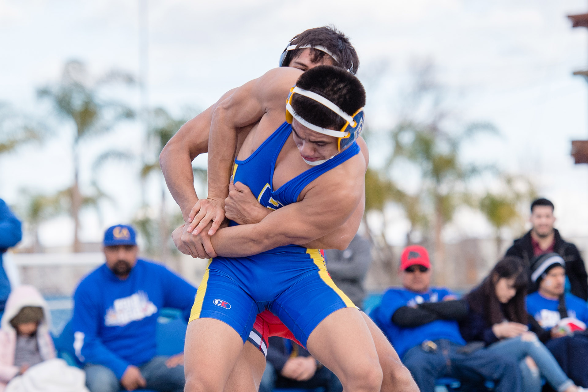 Bakersfield Falls in Dual Meet at 8 Iowa State California State