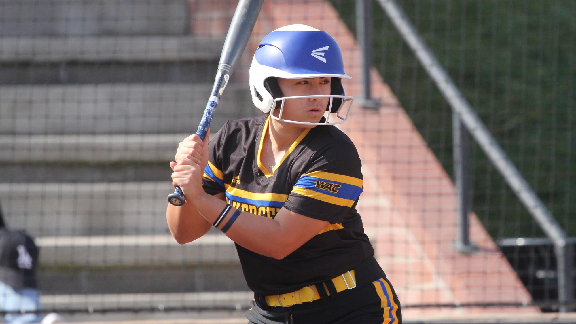 CSUB Announces 2022 Softball Schedule California State University at