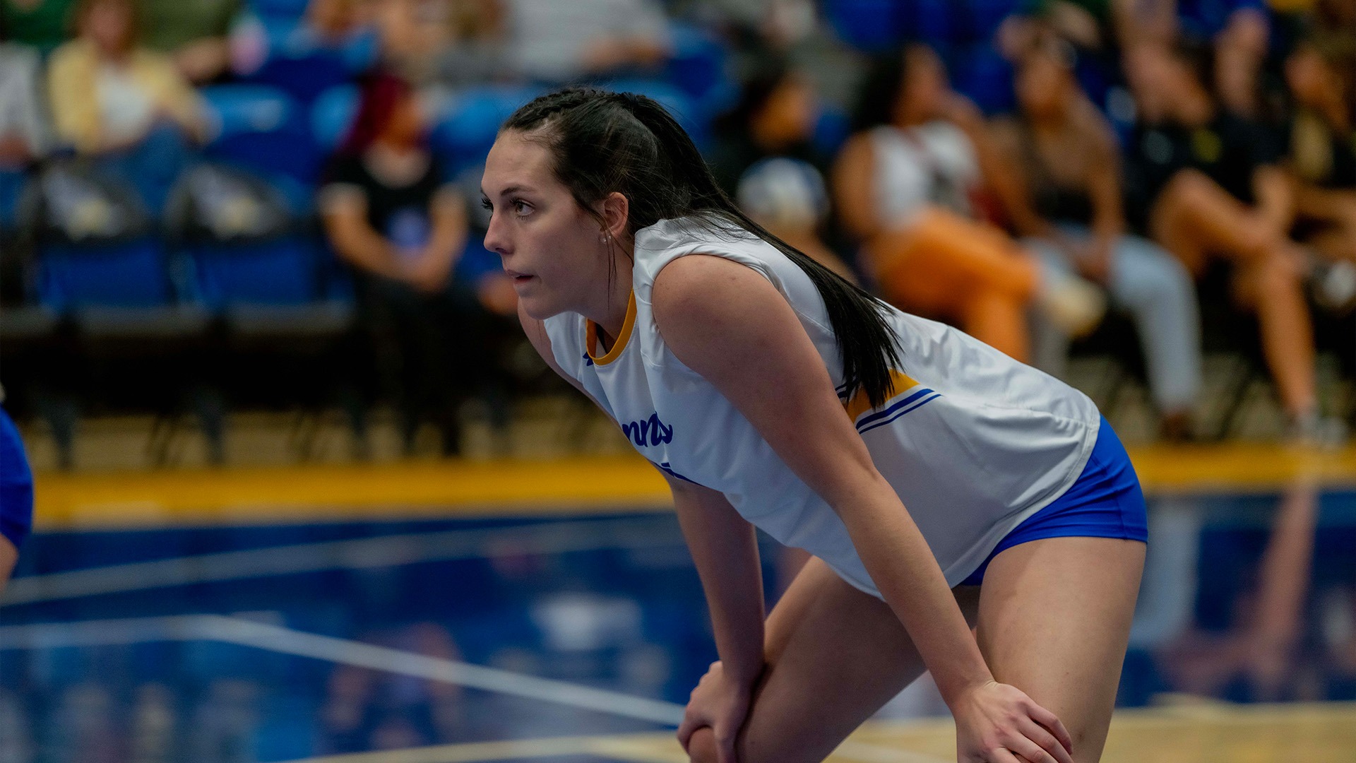 Sydney Dunning Women's Volleyball California State University at