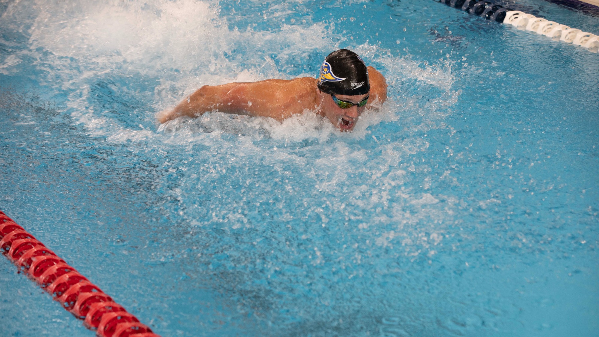 Timothy Engel Men's Swim & Dive California State University at