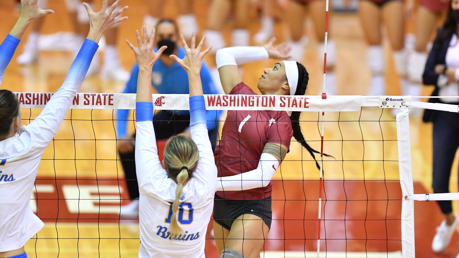 CSUB Volleyball Penny Tusa to Coaching Staff California