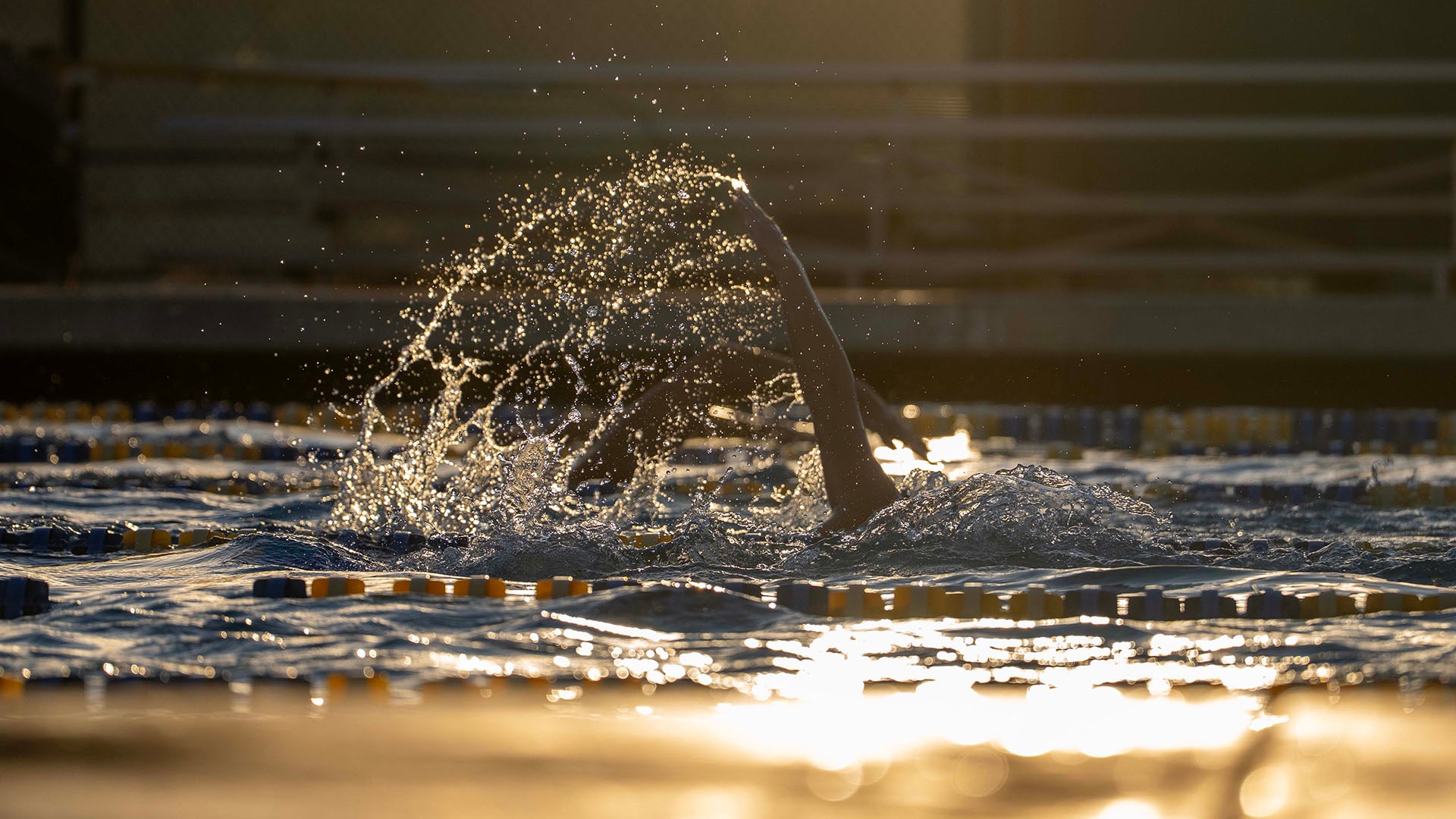 Swim_Generic_HW_ (1)