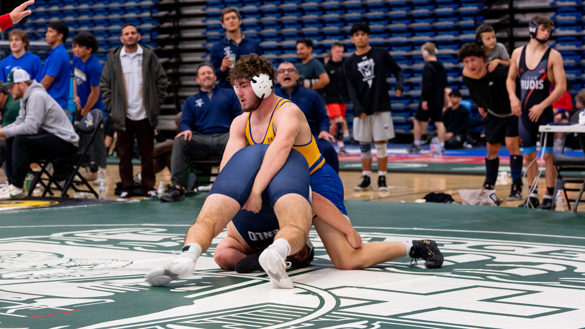 Xander_Firm_IC___14_