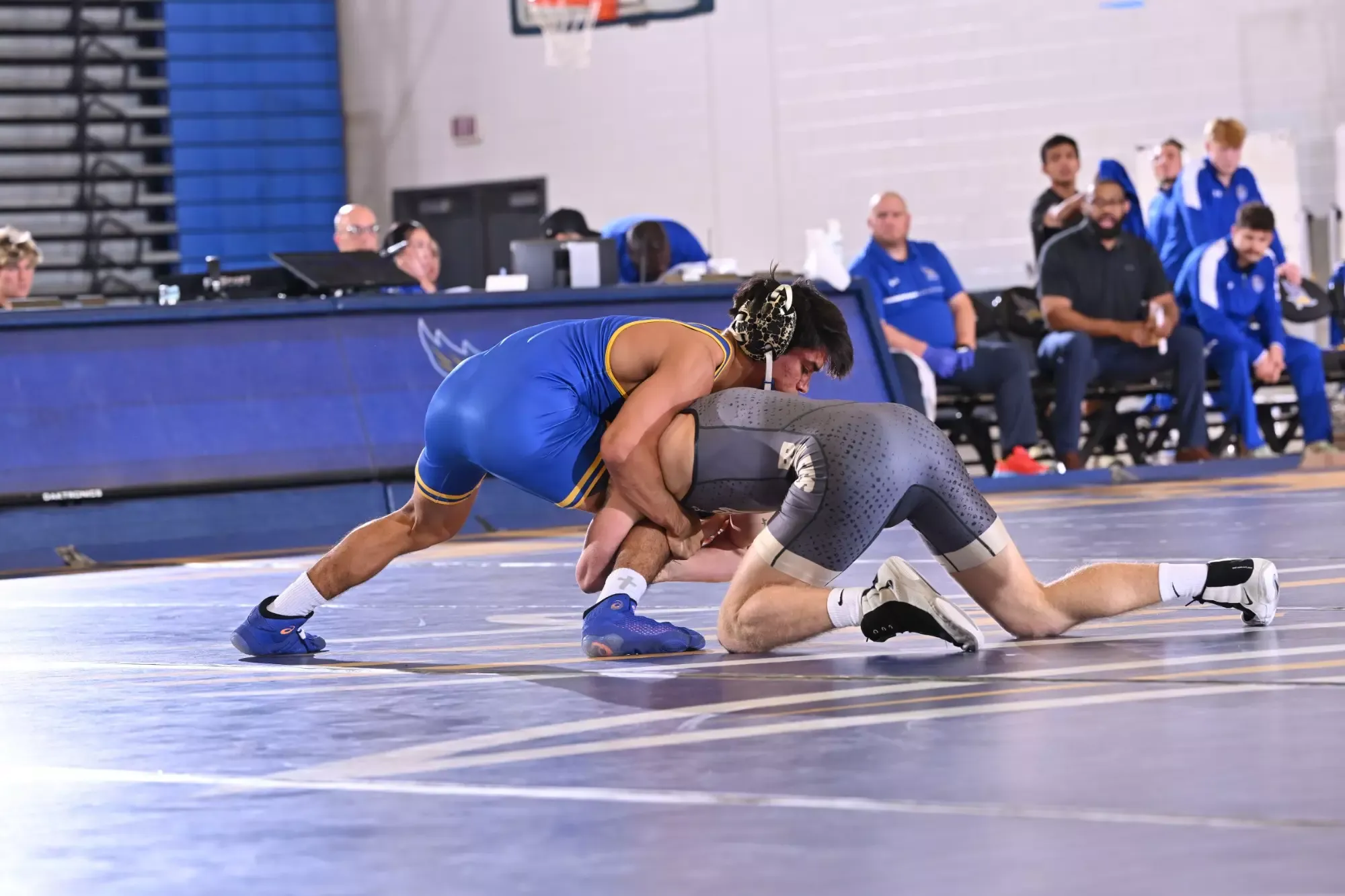 Santino_Sanchez_DD__11