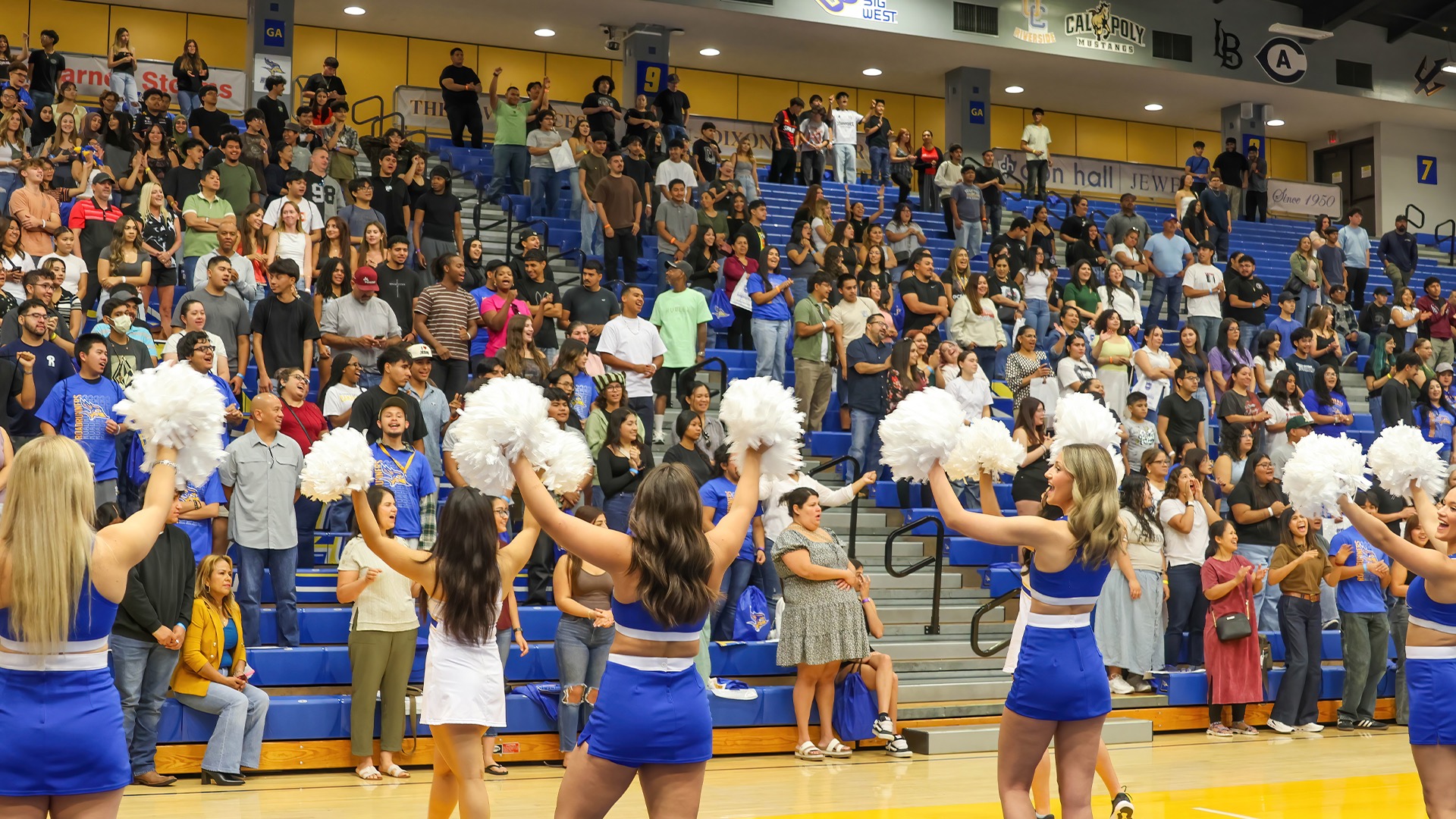 Summer Orientation spirit