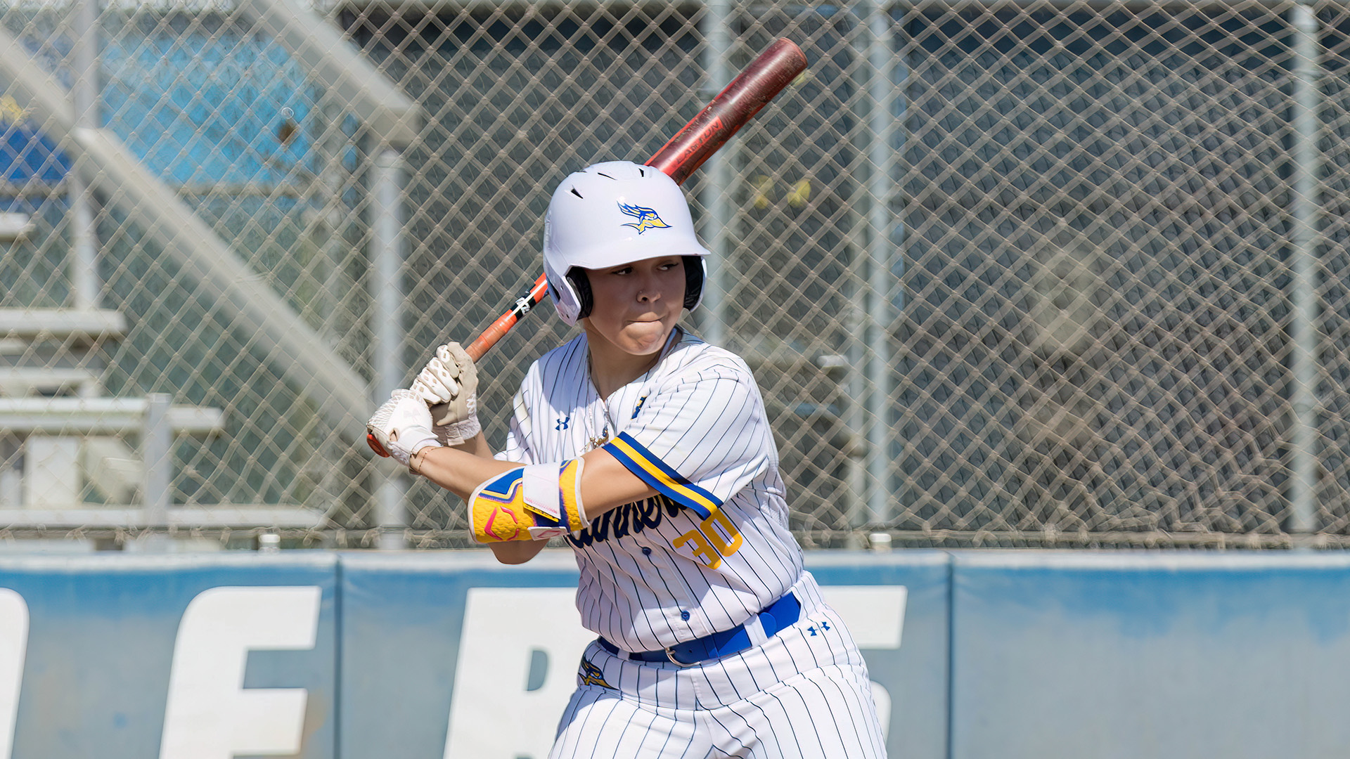 CSUB Softball vs Fresno State
