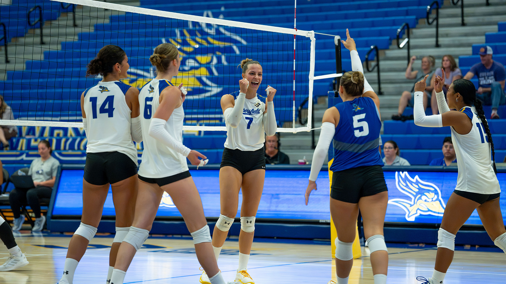 Volleyball vs Weber State