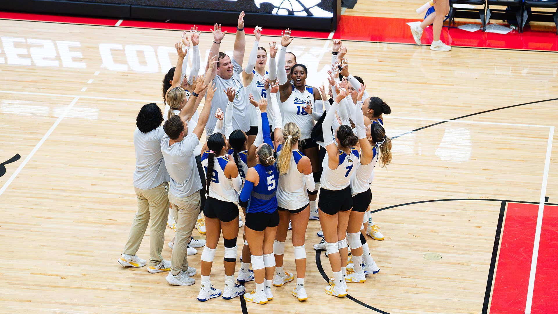 Team_VB_GV_ (1)