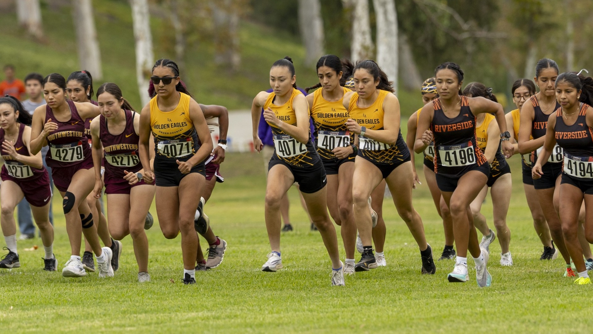 women's cross country team starts a race