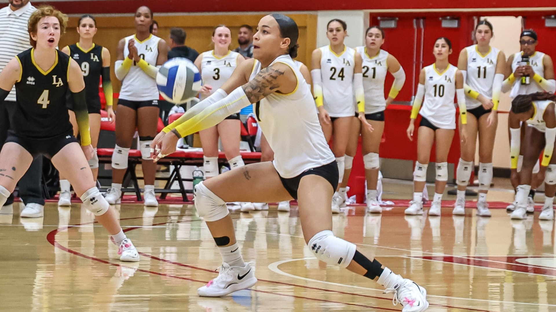 samarah dacoud digs a ball in ccaa tournament match