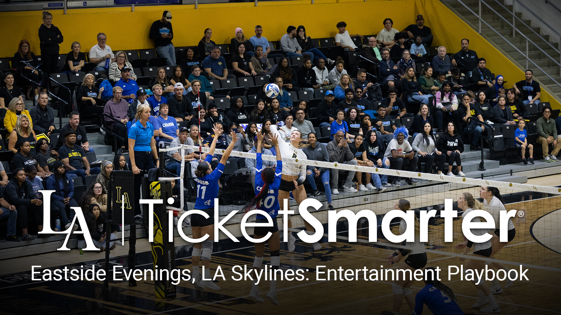 ticketsmarter graphic headline