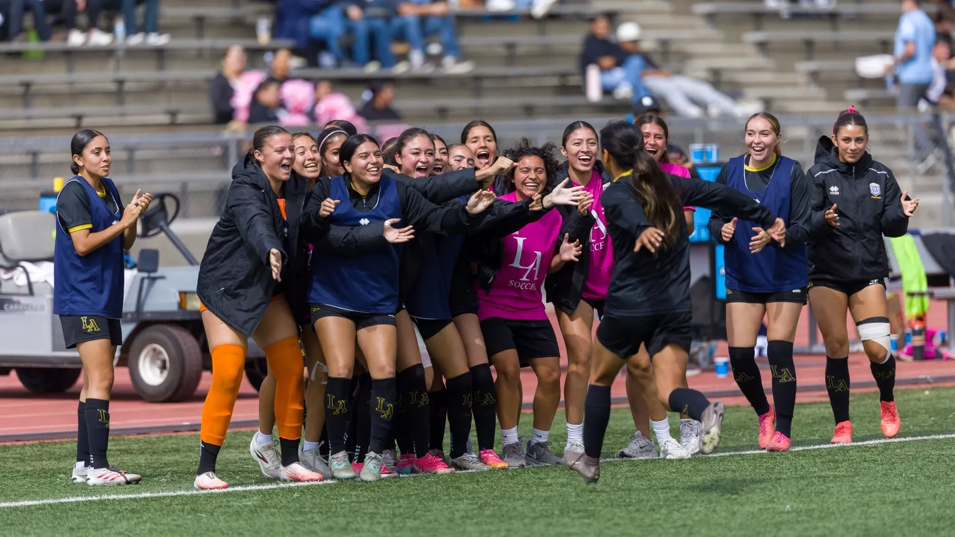 Women's bench celebrates