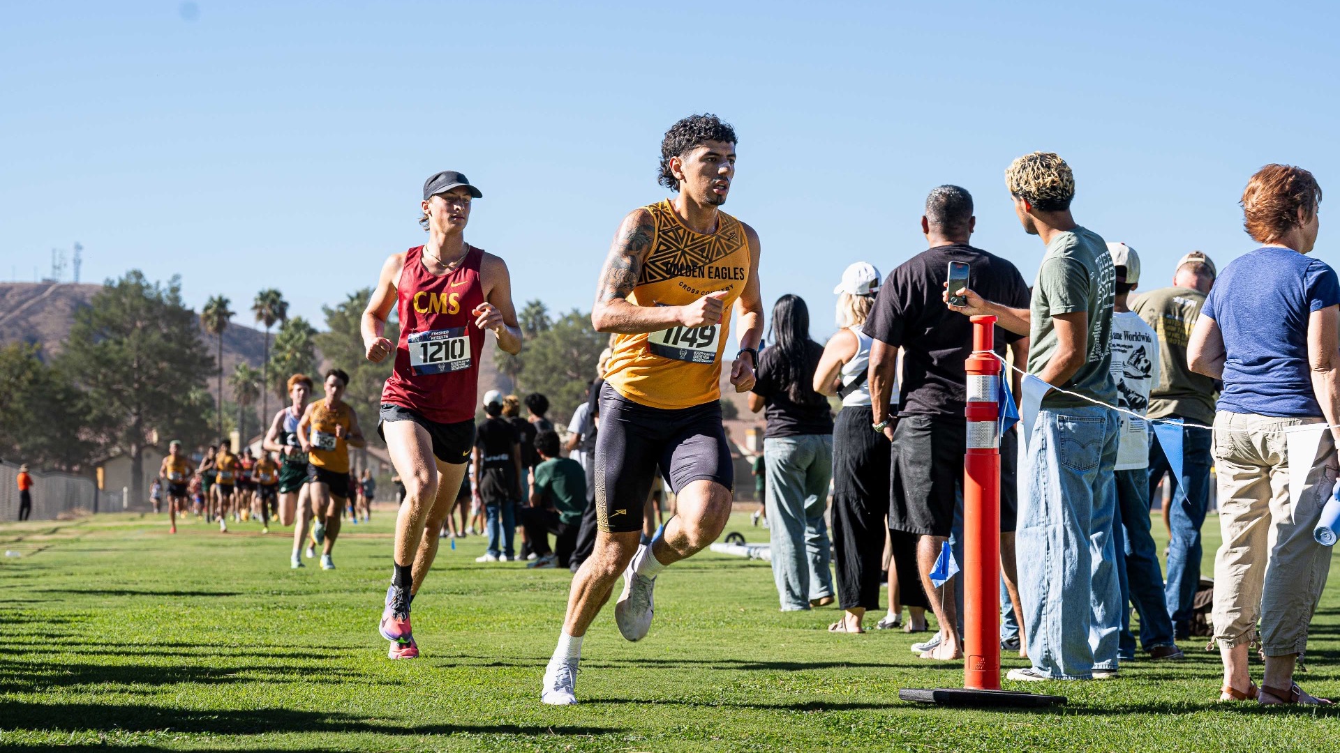 Men's Cross Country