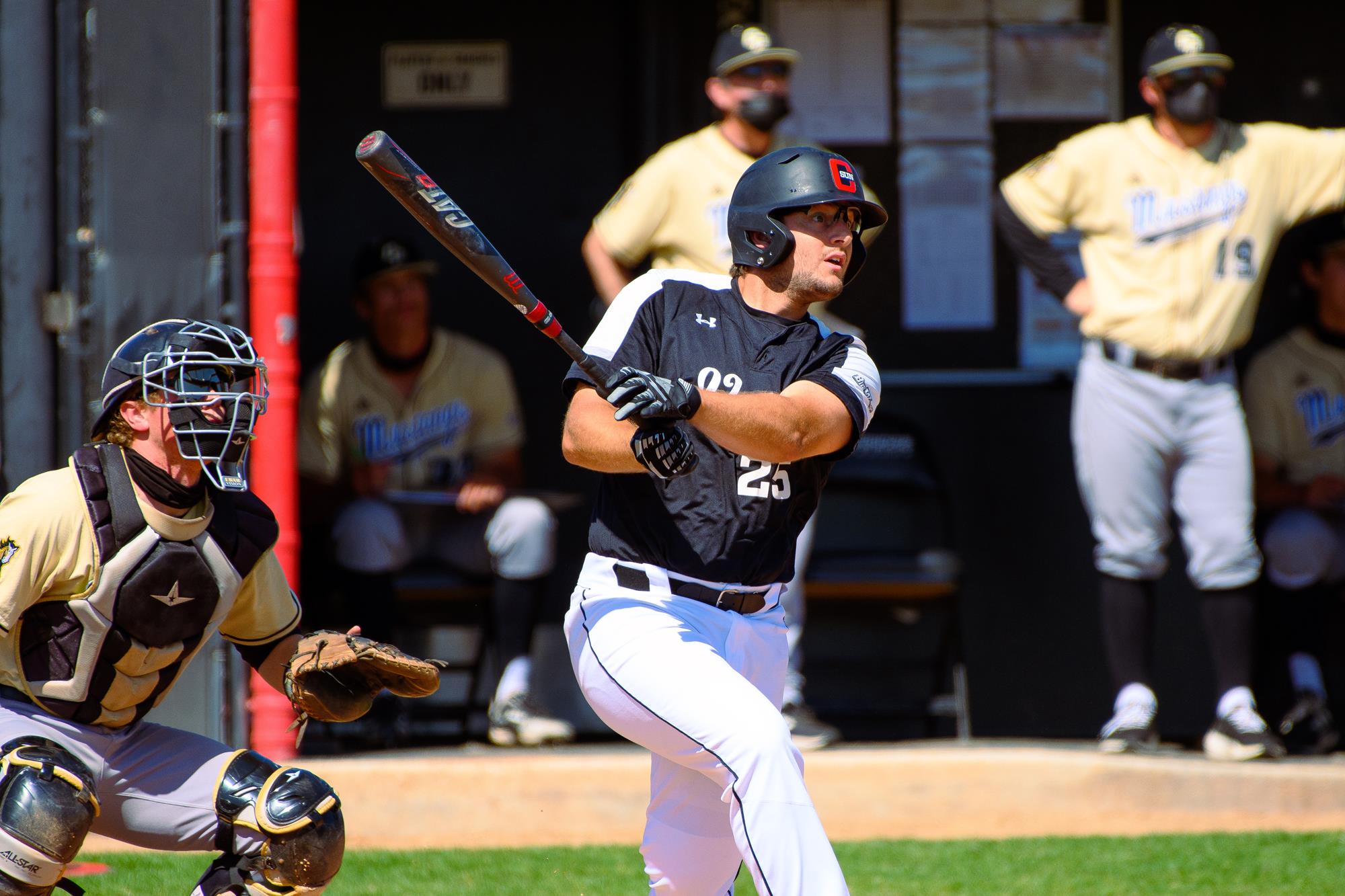 Jacob Bravo 2021 Baseball CSUN Athletics