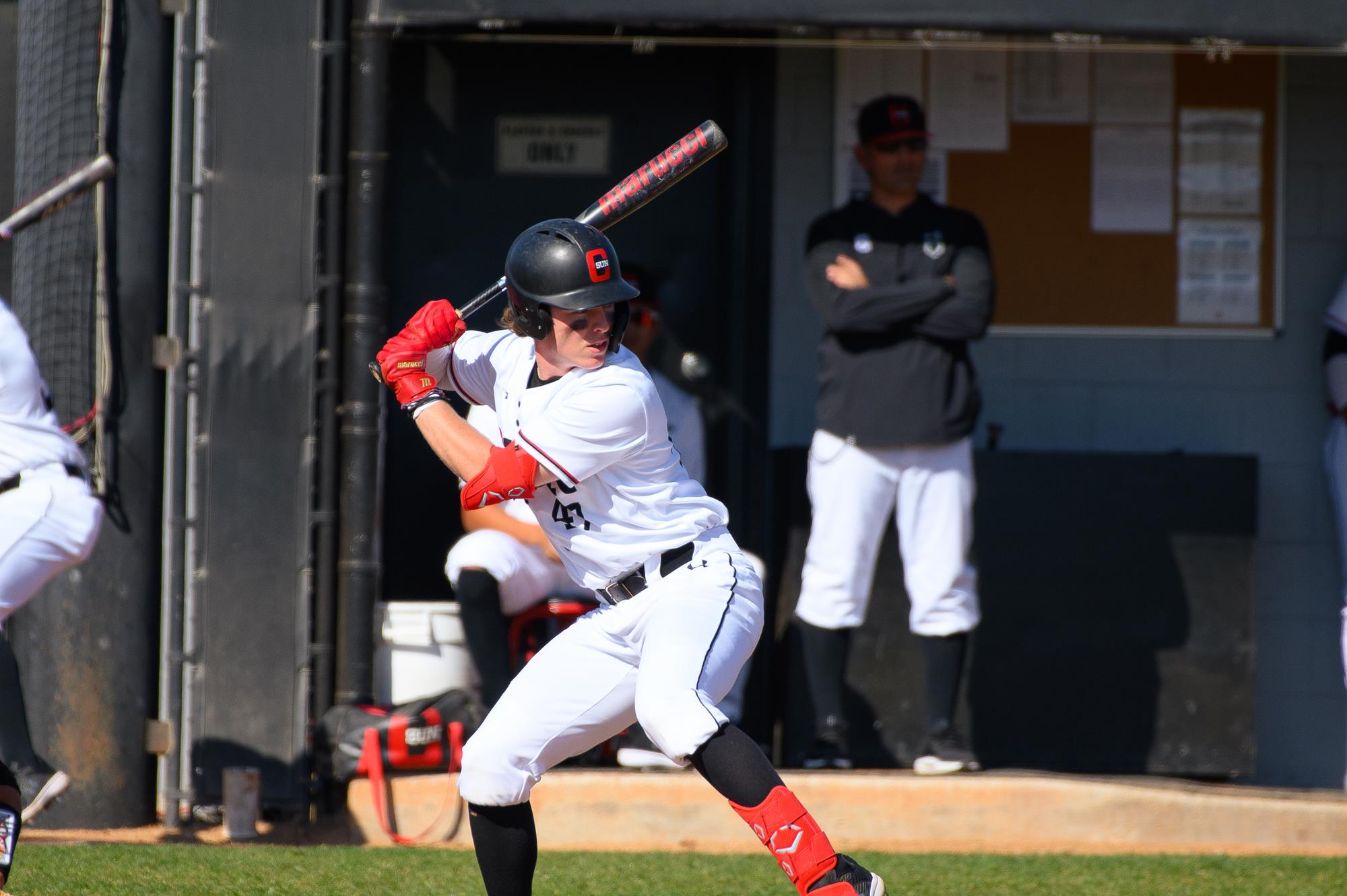 Drew Porter 2022 Baseball CSUN Athletics